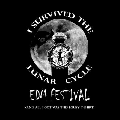 I Survived The Lunar Cycle Edm Festival Tapestry Official The Legend Of Zelda Merch